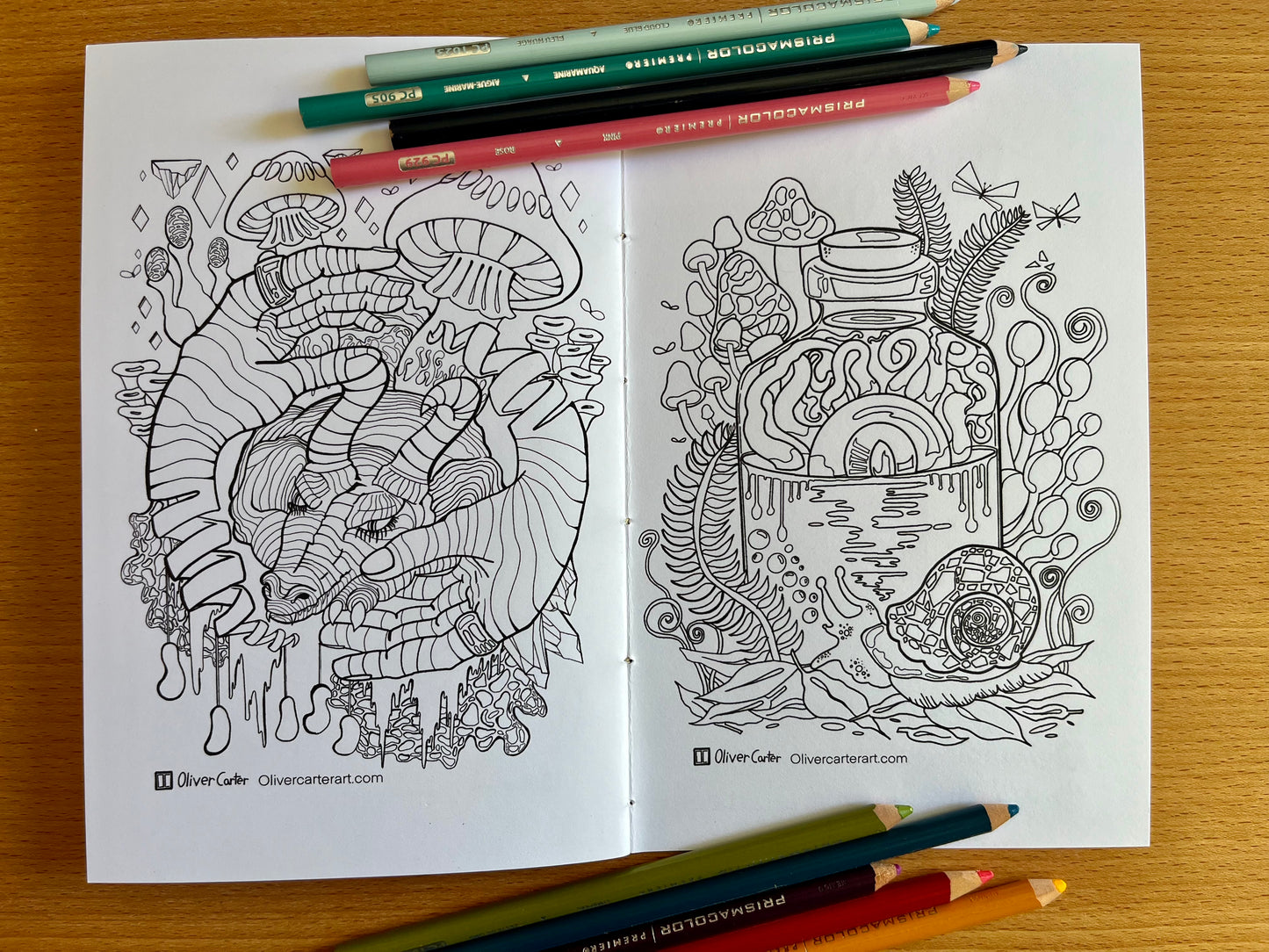 Magical Little Coloring Book